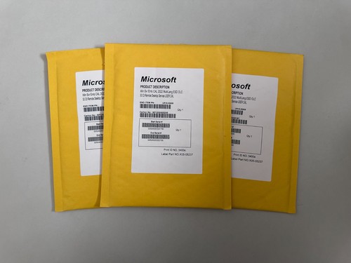 Windows server 2022 remote - windows,